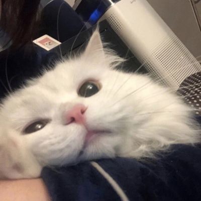 明日腊月初一，老人说不一般